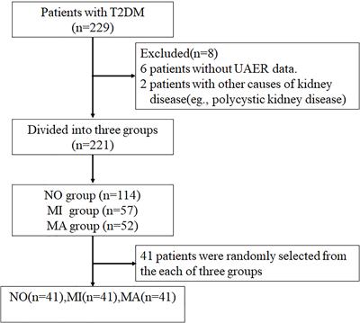 Indexes of ferroptosis and iron metabolism were associated with the severity of diabetic nephropathy in patients with type 2 diabetes mellitus: a cross-sectional study